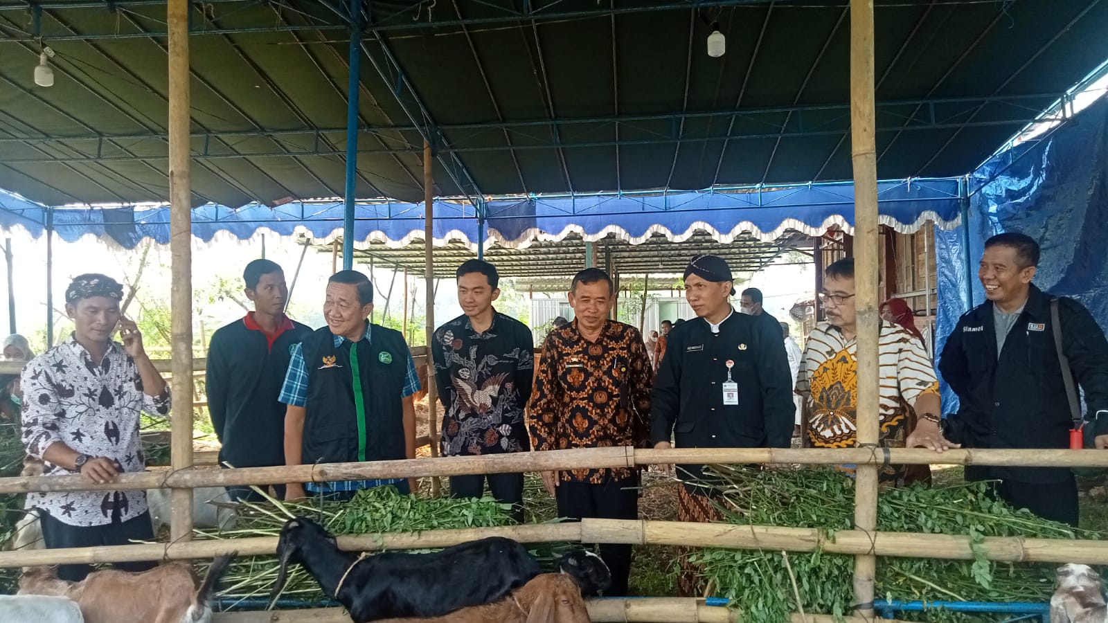 BUMP PT. Nyawiji Kie Semar Gelar Gebyar Jogo Ternak